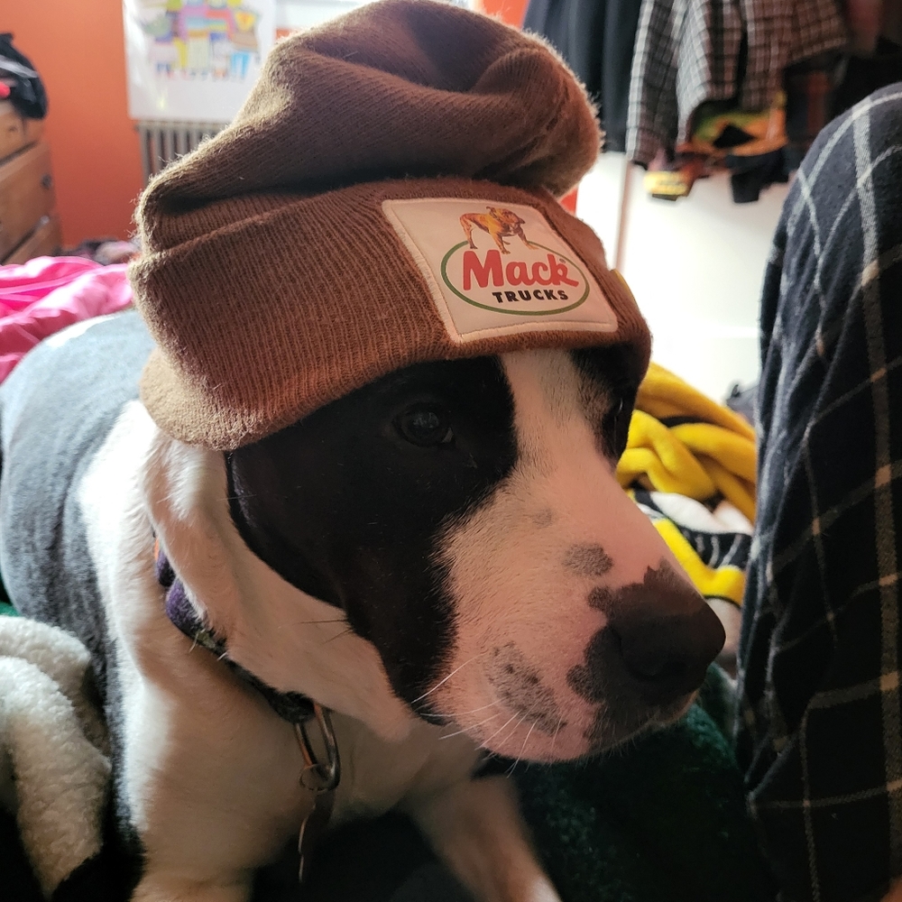 Meet your Posher, Jesse